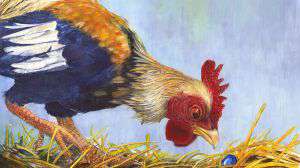 O Galo e a Pedra Preciosa