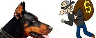 O cachorro e o ladrão