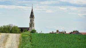 A noz e o campanário