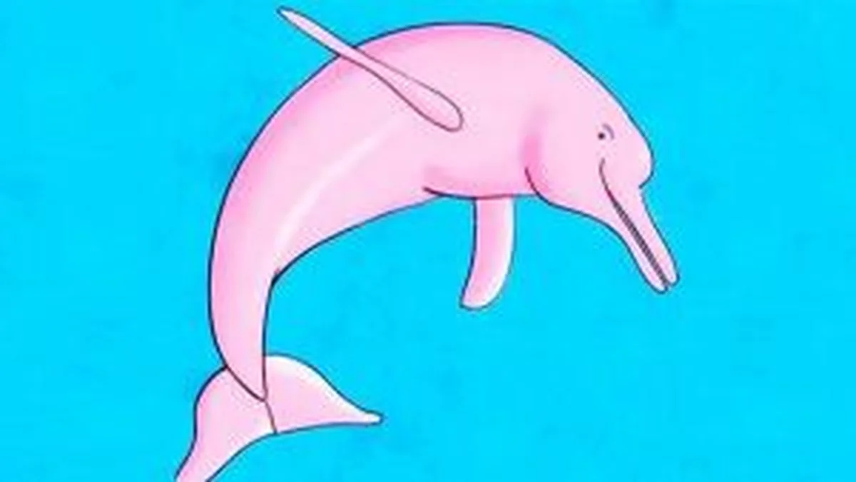 Boto cor-de-rosa