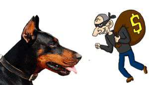O cachorro e o ladrão