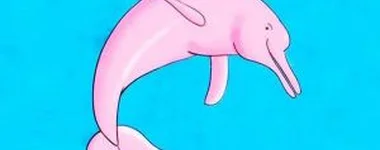 Boto cor-de-rosa