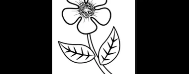 Desenhos de Flores para colorir