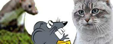 O camundongo, a fuinha e o gato