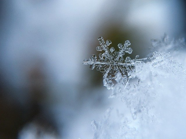 A neve - Fábula de Leonardo da Vinci