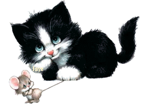 Rato e Gato